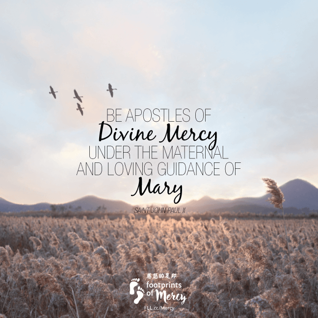 Be apostles of Divine Mercy